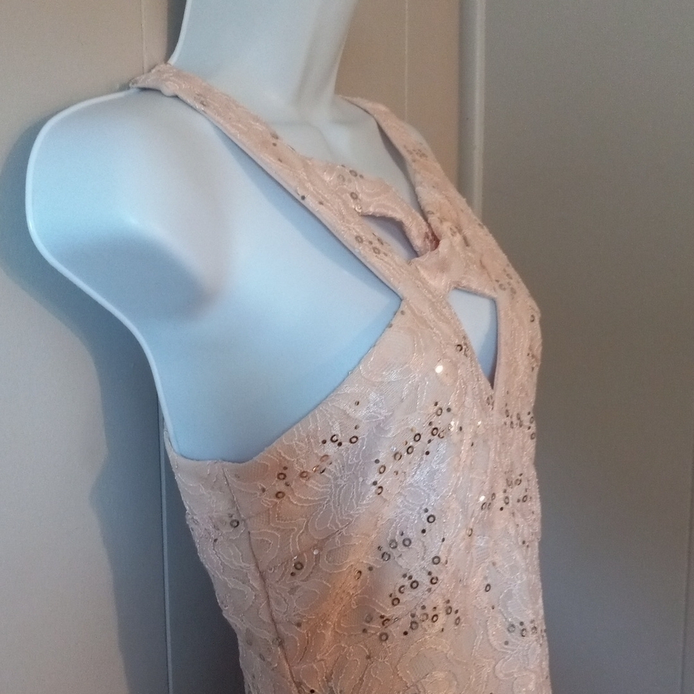 Crystal Doll pink cutout sequined lace dress in size 3. - Picture 3 of 8